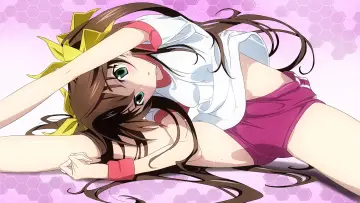 Backdrop for the TV series "Infinite Stratos" #1391436