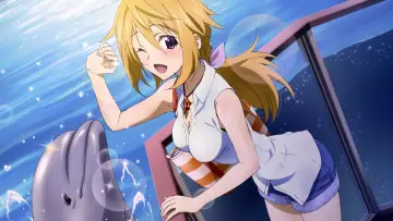Backdrop for the TV series "Infinite Stratos" #1391437