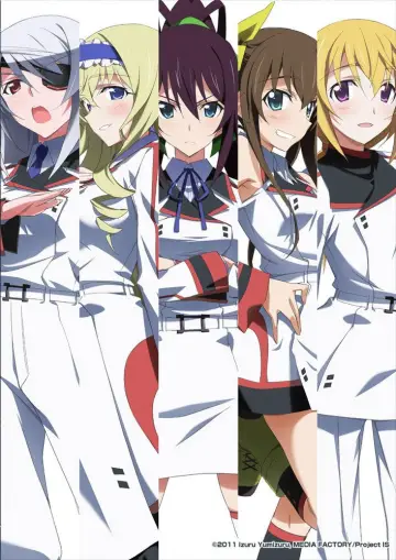 Poster for the TV series "Infinite Stratos" #1391449