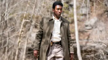 Backdrop к сериалу "True Detective" #1262837