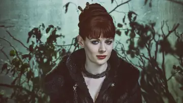 Backdrop к сериалу "Into the Badlands" #1398202