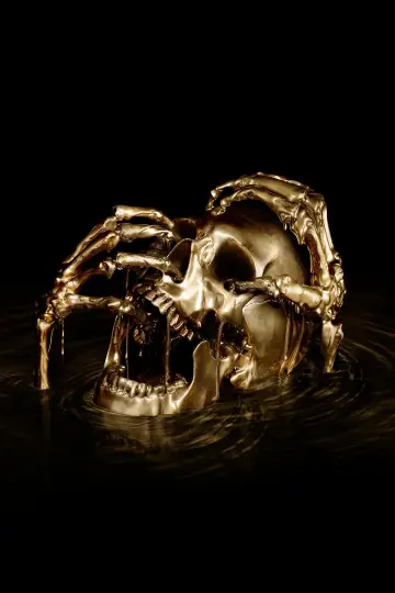 Poster for the TV series "Black Sails" #1324904