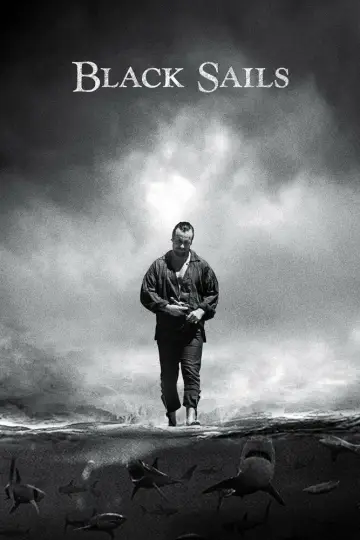 Poster for the TV series "Black Sails" #1324917