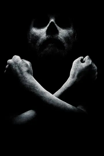 Poster for the TV series "Black Sails" #1324942