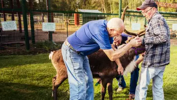 Backdrop for the TV series "The Incredible Dr. Pol" #1415052