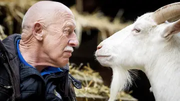 Backdrop for the TV series "The Incredible Dr. Pol" #1415055