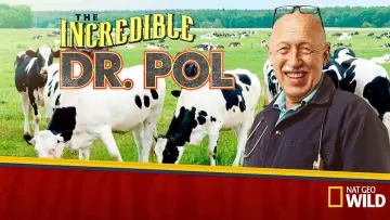 Backdrop for the TV series "The Incredible Dr. Pol" #1415063