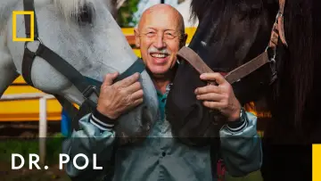 Backdrop for the TV series "The Incredible Dr. Pol" #1415076