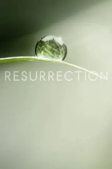 Poster for the TV series "Resurrection" #1451039
