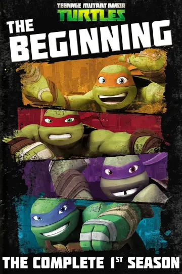 Poster for the TV series "Teenage Mutant Ninja Turtles" #1516309
