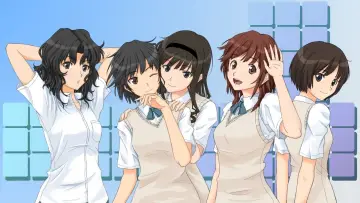 Backdrop for the TV series "Amagami SS" #1371187