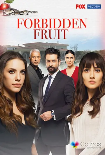 Poster for the TV series "Forbidden Fruit" #1357149