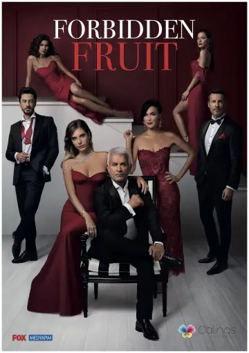 Poster for the TV series "Forbidden Fruit" #1357150