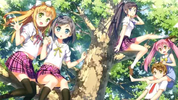 Backdrop for the TV series "The "Hentai" Prince and the Stony Cat" #1435769