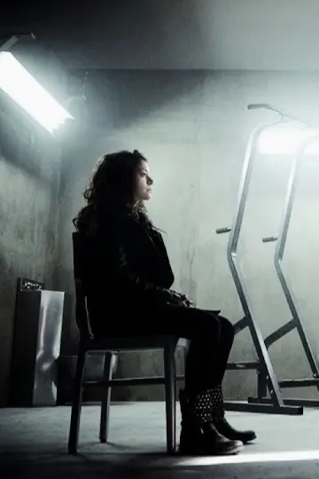Poster for the TV series "Orphan Black" #1337863