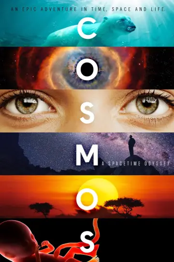 Poster for the TV series "Cosmos" #1454909