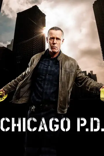 Poster for the TV series "Chicago P.D." #1244167