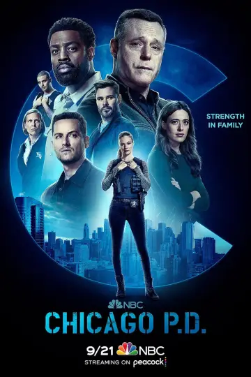 Poster for the TV series "Chicago P.D." #1244177