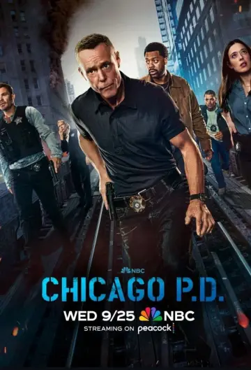 Poster for the TV series "Chicago P.D." #1244183
