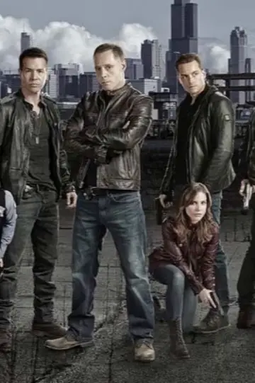 Poster for the TV series "Chicago P.D." #1244202