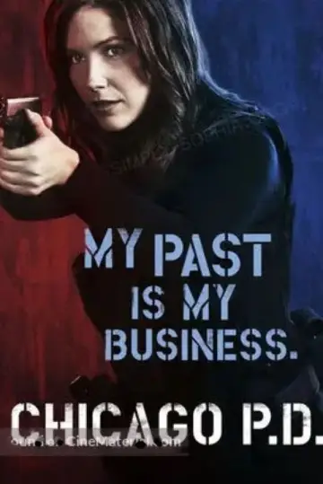 Poster for the TV series "Chicago P.D." #1244213