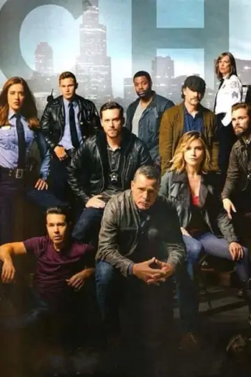 Poster for the TV series "Chicago P.D." #1244224