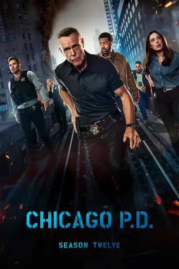 Poster for the TV series "Chicago P.D." #1261589
