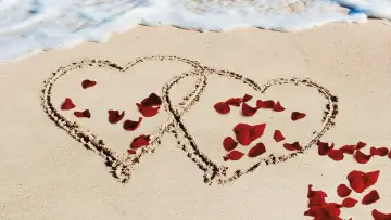 Backdrop for the TV series "Bachelor in Paradise" #1560481