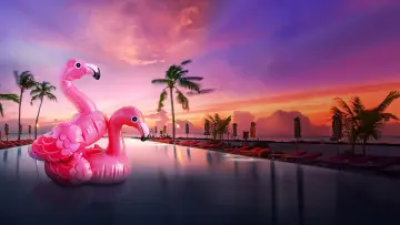 Backdrop for the TV series "Bachelor in Paradise" #1560486