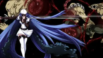Backdrop for the TV series "Akame ga Kill!" #1373322
