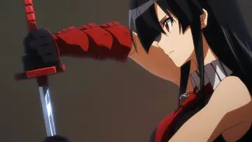 Backdrop for the TV series "Akame ga Kill!" #1373331