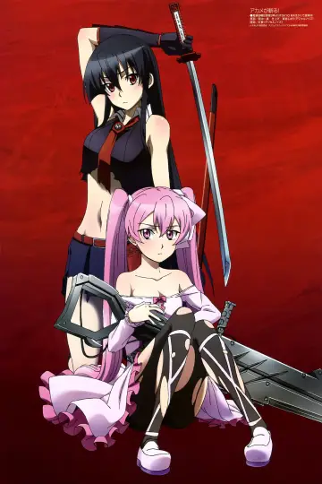 Poster for the TV series "Akame ga Kill!" #1373353