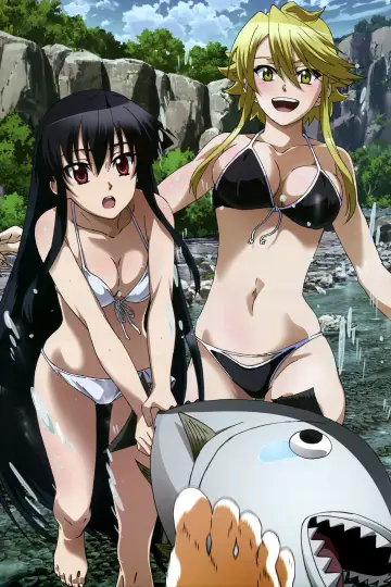 Poster for the TV series "Akame ga Kill!" #1373354