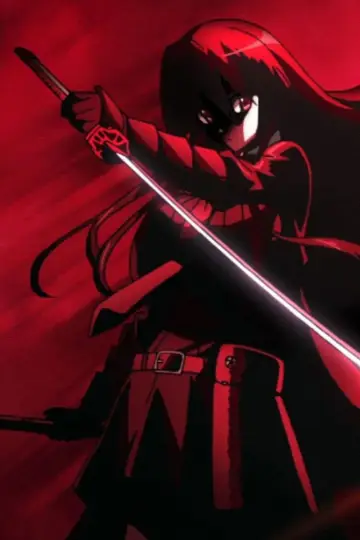 Poster for the TV series "Akame ga Kill!" #1373358