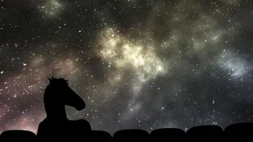 Backdrop к сериалу "BoJack Horseman" #1295075