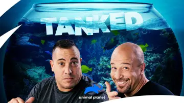 Backdrop for the TV series "Tanked" #1539981
