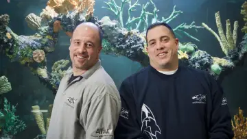 Backdrop for the TV series "Tanked" #1539983