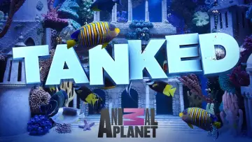 Backdrop for the TV series "Tanked" #1539985