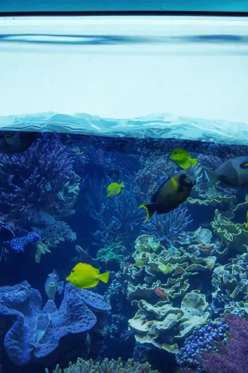 Poster for the TV series "Tanked" #1539997
