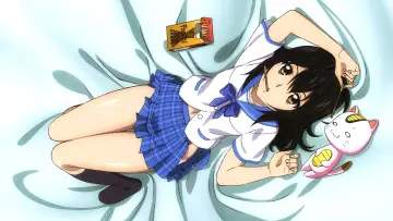 Backdrop for the TV series "Strike the Blood" #1322601