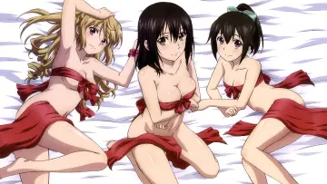 Backdrop for the TV series "Strike the Blood" #1322609