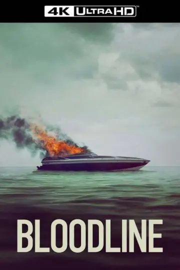 Poster for the TV series "Bloodline" #1411989