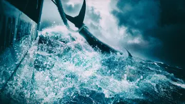 Backdrop for the TV series "Wicked Tuna" #1357112