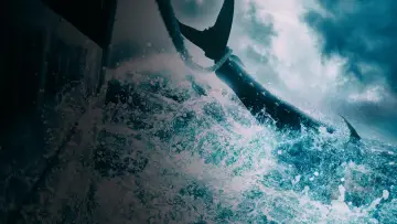 Backdrop for the TV series "Wicked Tuna" #1357115