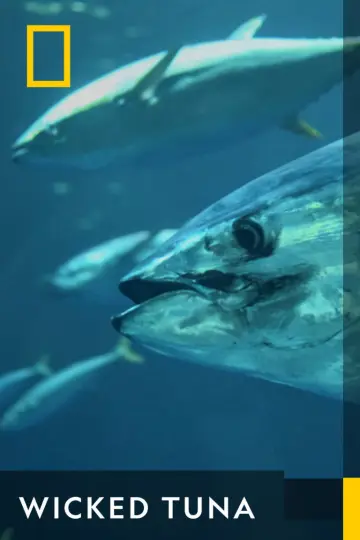 Poster for the TV series "Wicked Tuna" #1357135