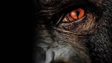 Backdrop for the TV series "Zoo" #1385931