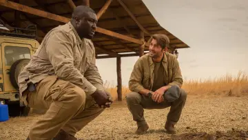 Backdrop for the TV series "Zoo" #1385934