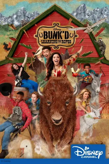 Poster for the TV series "BUNK