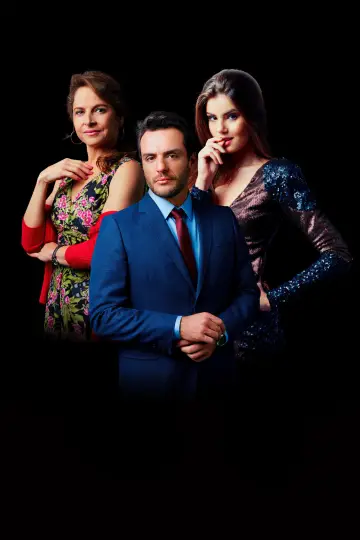 Poster for the TV series "Hidden Truths" #1406165