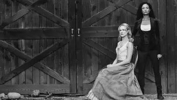 Backdrop for the TV series "Westworld" #1297447
